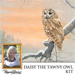 Pollyanna Pickering’s Daisy the Tawny Owl Digital Download Kit