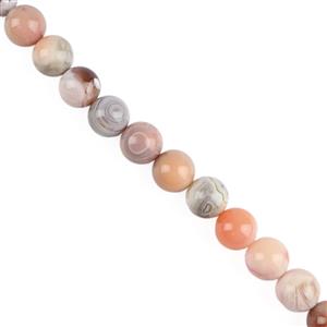 210cts Peach Botswana Agate Plain Rounds, Approx 9mm, 38cm Strand