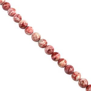 80cts Chicken Blood Stone Plain Rounds Approx 10mm, 19cm Strand