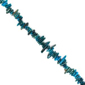 300cts Apatite Long Chips Approx 12x2 - 19x5mm, 38cm Strand