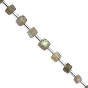 35cts Labradorite Faceted Cube Approx 4x4 to 5x5mm 30cm Strand With Spacers