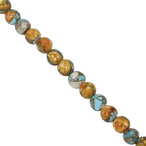 22cts Spiny Oyster Turquoise Plain Round Approx 3.5 to 5mm, 20cm Strand 