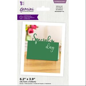 Gemini - Metal Die - Expressions - Special day- 1PC