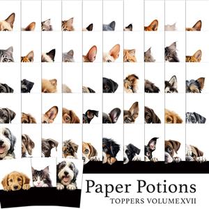 The Crafty Witches Paper Potions Toppers Vol XVII Kit