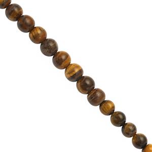 45cts Tigers Eye Plain Rounds Round Approx 3 to 6mm 30cm Strand 