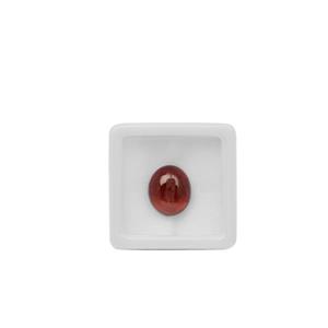 5.50cts Hessonite Garnet Cabochon Oval Approx 12x10mm Gemstone (1pc)