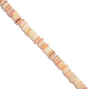 Natural Colour Freshwater Shell Wheels Approx 6cm, 38mm Strand