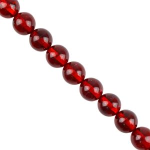 Baltic Red Amber Plain Rounds Approx 7mm, 20cm Strand 