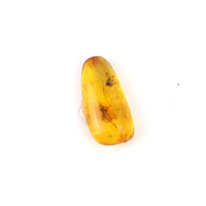 Baltic Cognac Amber Nugget with Insect