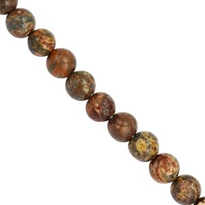 130cts Leopard Skin Jasper Round, Approx 8mm, 36cm Strand