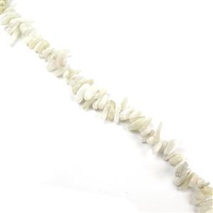 250cts White Moonstone Long Chips Approx 22x4mm, 38cm strand