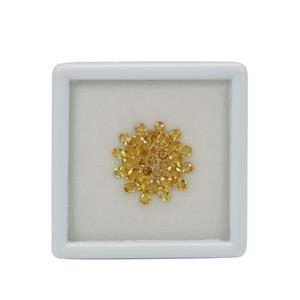 Marigold Flower includes 4.5cts Yellow Sapphire & Rio Golden Citrine 4x3 & 4.5x3.50 & 2.50mm