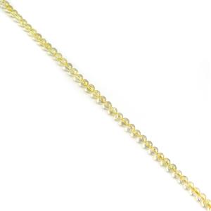 240cts Citrine Plain Round Approx 6mm, 100cm Strand