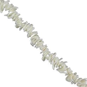 White Fancy Curved Shell Strand Approx 12x26mm-15x28mm, 38cm Strand