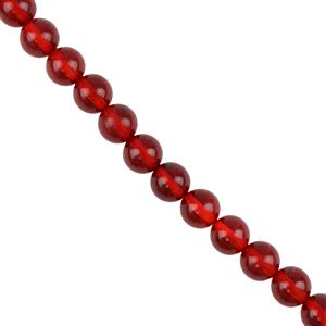 Baltic Red Amber Plain Rounds Approx 6mm, 20cm Strand