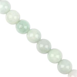 590cts Type A Bi Colour Jadeite Plain Rounds Approx 13.5 to 14mm 38cm Strands  