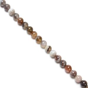 150cts Botswana Agate Plain Rounds Approx 8mm, 38cm Strand