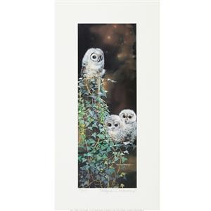 Owls Limited Edition, Signed & Numbered by Pollyanna Pickering