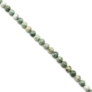 Type A Burmese Multi-Colour Jadeite Gemstone Strand Approx 300cts