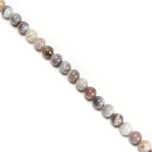 145cts Peach & Grey Botswana Agate Plain Rounds Approx 8mm, 38cm Strand