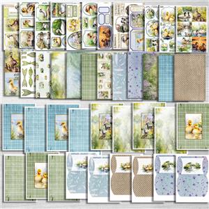 Designer Series Duck Meadow Cardmaking Multibuy