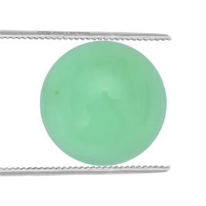 1.2cts Prase Green Opal 8x8mm Round  (N)