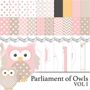 The Crafty Witches Parliament of Owls Vol I Digital Download 30 x A4 sheets in total