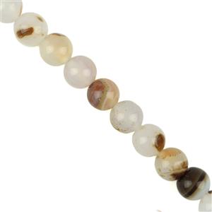 165cts Natural Agate Plain Rounds, Approx 8mm, 37cm Strand