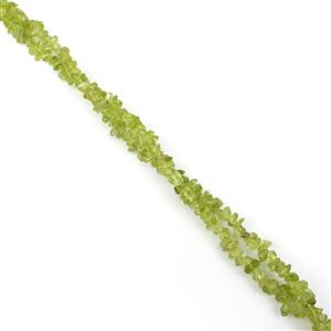 320cts Red Dragon Peridot Small Chips Approx 5x4mm, 60