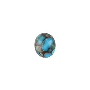 2.5cts Egyptian Turquoise 12x10mm Oval  (CP)