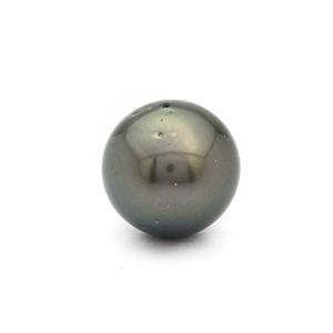Tahitian Cultured Pearl Round, Approx 13mm 1pcs