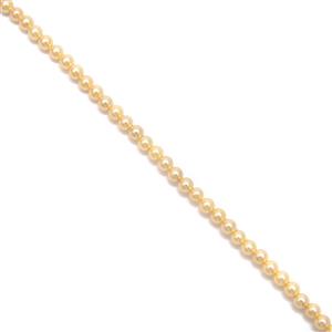 Gold Shell Round Pearl Approx 3mm, 20cm Strand