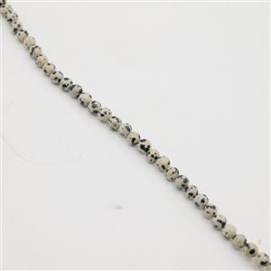 290cts Dalmatian Jasper Plain Rounds Approx 6mm, 1 Meter Strand