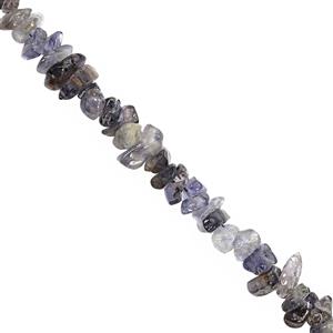 350cts Iolite Bead Nugget Approx 2.5x1.5 to 8x4mm, 2.5m Strand