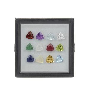 Birthstone Set of 12 Gemstones (Trilliant)