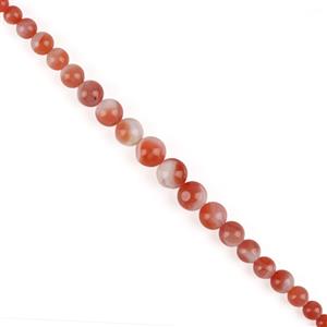 130cts Nanhong Red Agate Plain Rounds Approx 6-13mm, 19cm Strand