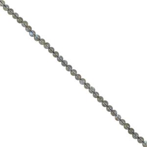 40cts AA Labradorite Plain Rounds, Approx 4mm, 38cm strand
