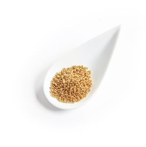 Miyuki Duracoat Galvanised Gold Seed Beads 11/0 (8GM/TB)