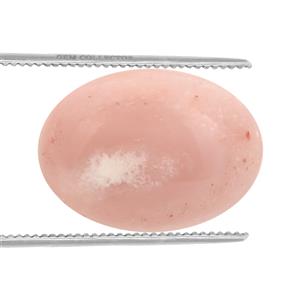 5cts Pink Lady Opal 18x13mm Oval (N)