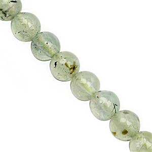 81.50cts Prehnite Smooth Round Approx 6mm, 28 cm Strand
