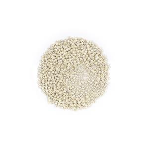 Miyuki Duracoat Galvanised Silver Seed Beads 8/0 (22GM/TB)