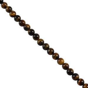 185cts Yellow Tigers Eye Plain Rounds Approx 8mm, 38cm Strand