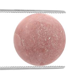 5.5cts Pink Lady Opal 15x15mm Round (N)