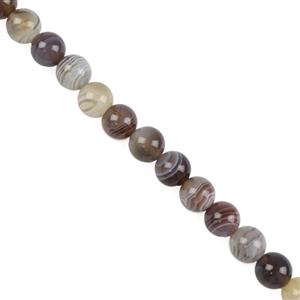 180cts Botswana Agate Plain Rounds, Approx 8mm,38cm Strand