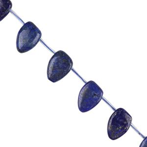 240cts Lapis Lazuli Fancy Fans Approx 15x22mm, 38cm 