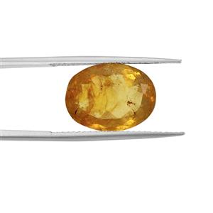 3cts Caribbean Amber 16x12mm Oval (N)