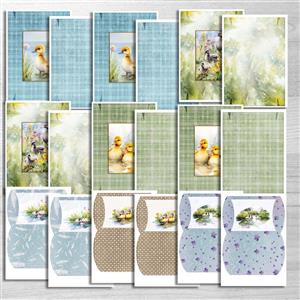 Designer Series Duck Meadow Boxes with Forever Code 