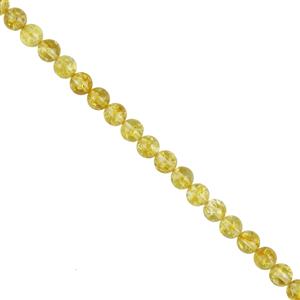Debbie Kershaw Amber Collection - Honey Amber, Approx 6mm, 38cm Strand 