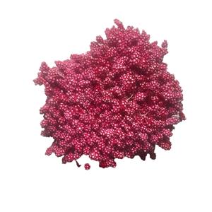 Bundle of Red Stamens, Approx 1600 Double Ended Stamens