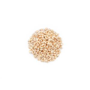 Miyuki Long Magatamas Glavanised Gold Beads Approx 4x7mm (24GM/TB)